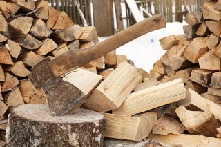 Власти Ленинградской области упростили процедуру заготовки дров