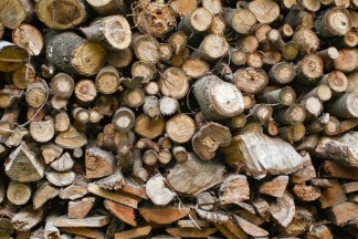 В Ессентуках начали производить биотопливо из древесных отходов